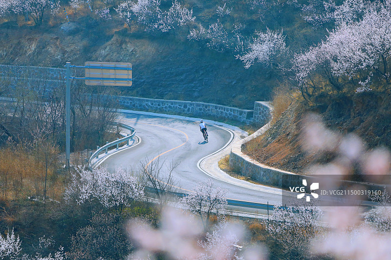 清明节假期期间，门头沟妙峰山漫山花海图片素材