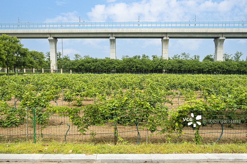 西安陕西张裕瑞那城堡酒庄图片素材
