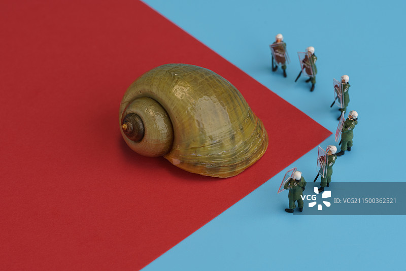 微距世界里福寿螺的壳和防御人群微缩创意图图片素材