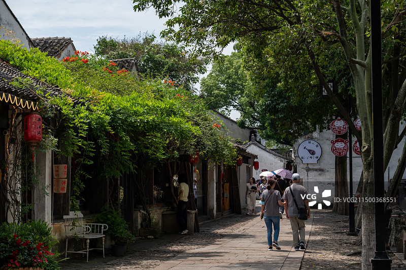 苏州平江路历史文化街区悠闲自在的游人和门口的红色凌霄花图片素材