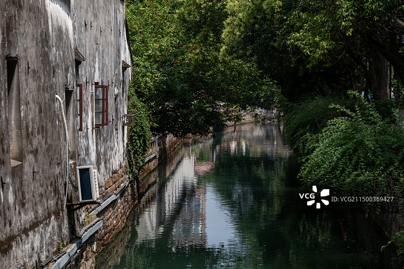 静谧的苏州平江路历史文化街区小河和绿树图片素材