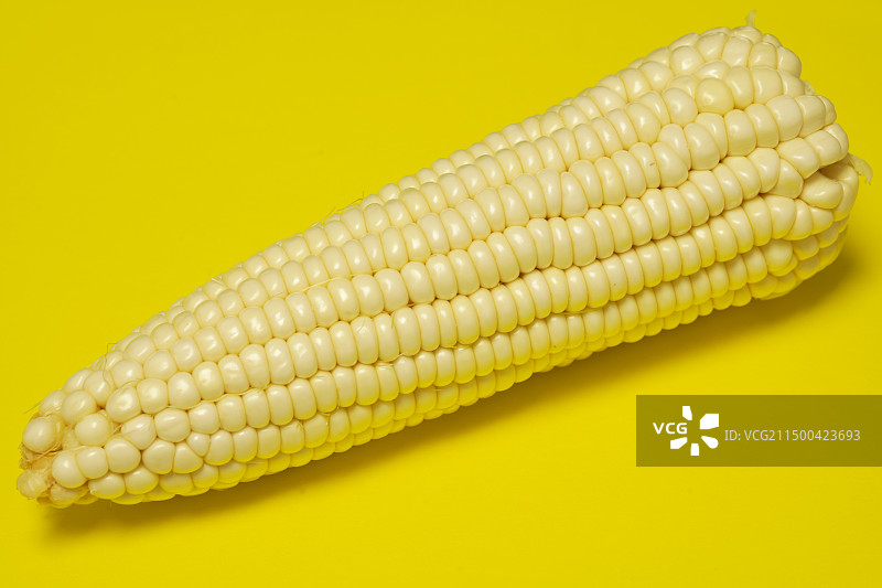 黄色背景上的玉米特写镜头图片素材