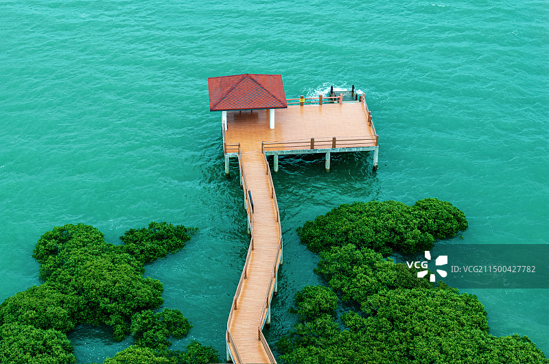 广东湛江特呈岛红树林图片素材