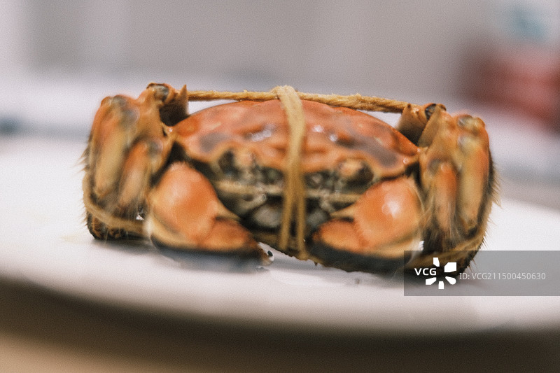 螃蟹醉蟹大闸蟹图片素材