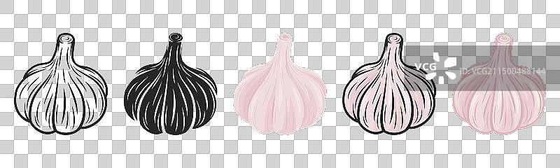 大蒜球图标集特写，已隔离图片素材