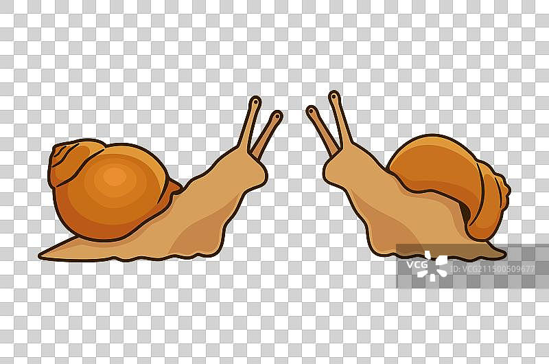 白色背景上的可爱棕色蜗牛图标图片素材