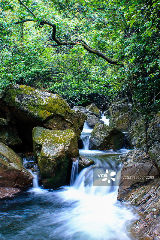 森林里流动的溪水 肇庆鼎湖山里的溪水图片素材