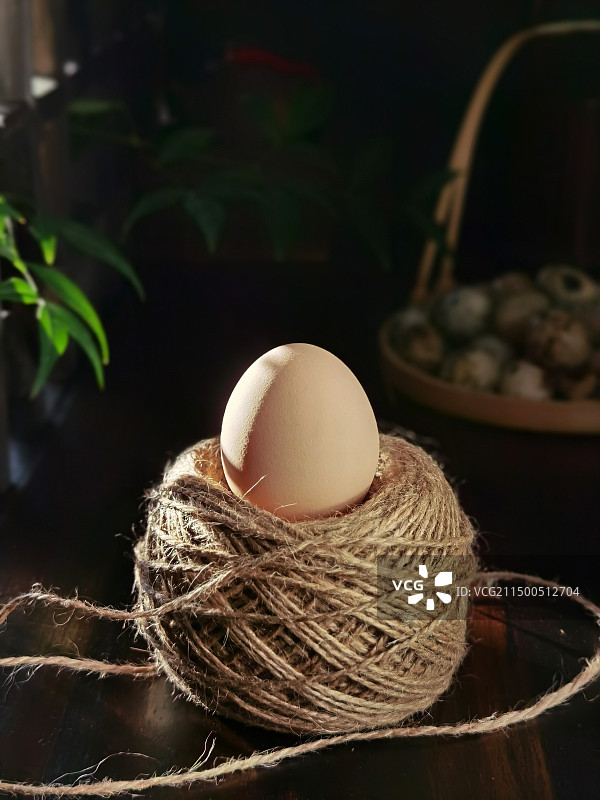 鸡蛋的特写镜头图片素材