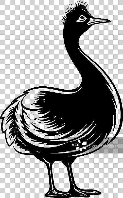 渡渡鸟 - 极简扁平风logo图片素材