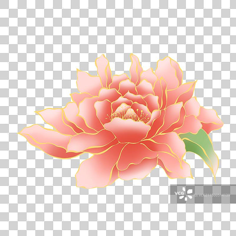 牡丹免抠素材图片素材