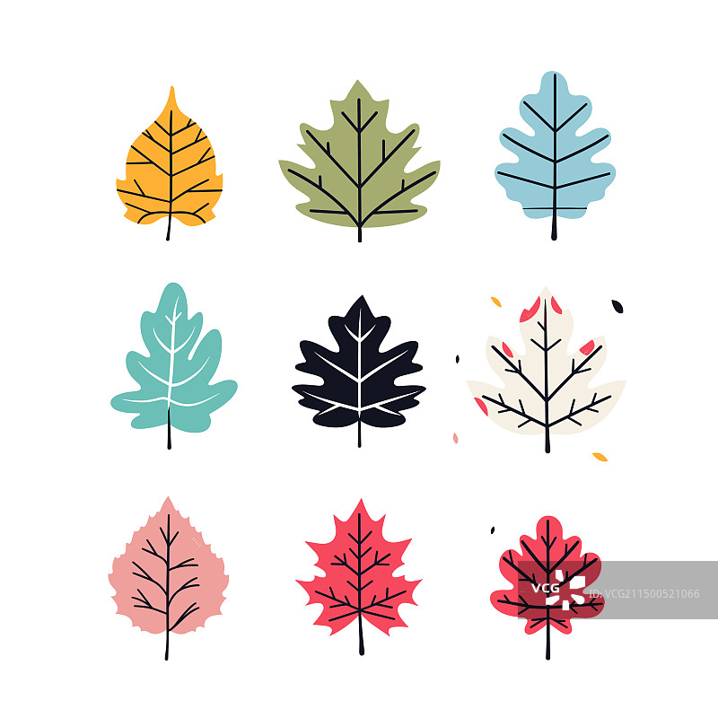 风格化的秋叶合集图片素材