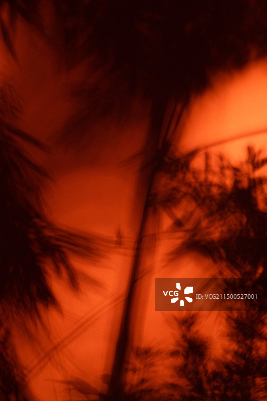 成都杜甫草堂-红墙竹影图片素材