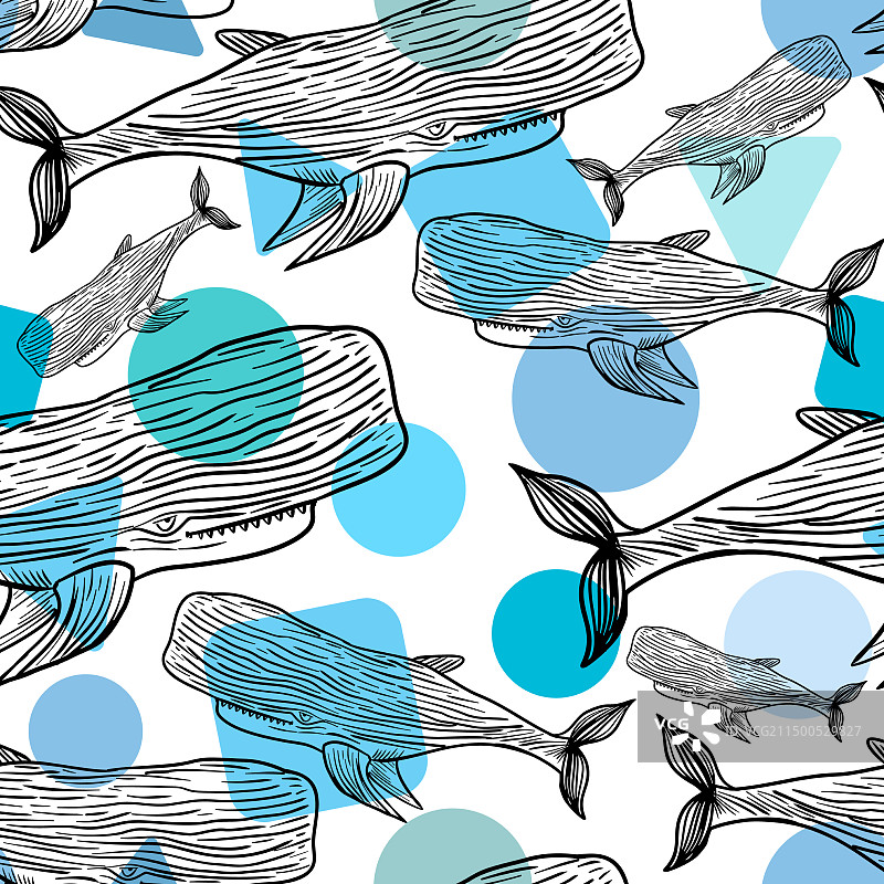 手绘抹香鲸无缝图案图片素材