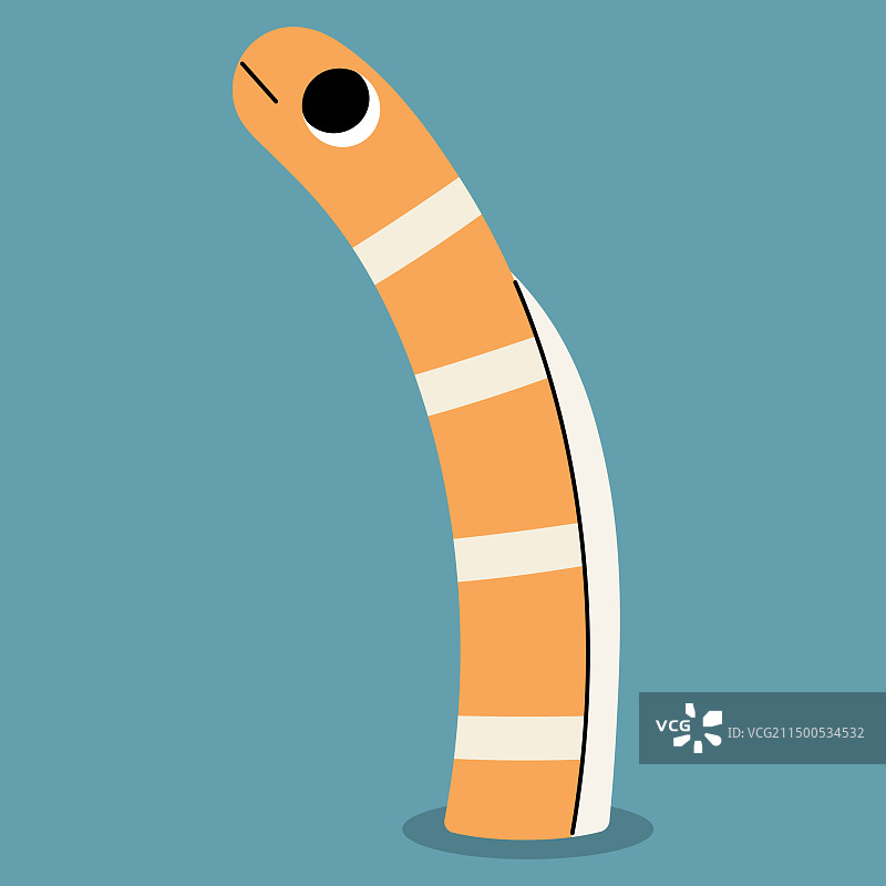 美丽的花园鳗2图片素材