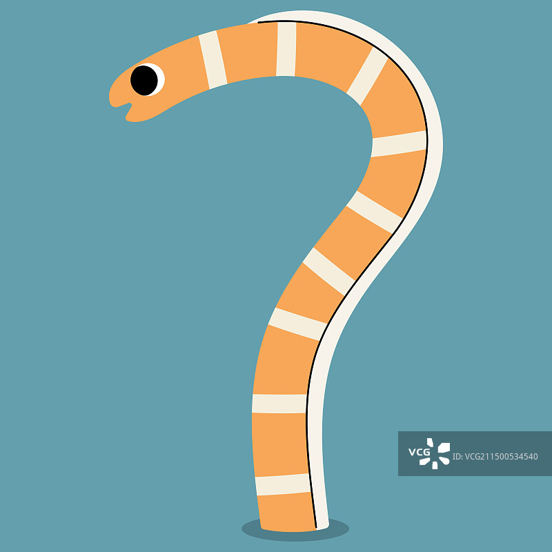 单条美丽的花园鳗鱼图片素材