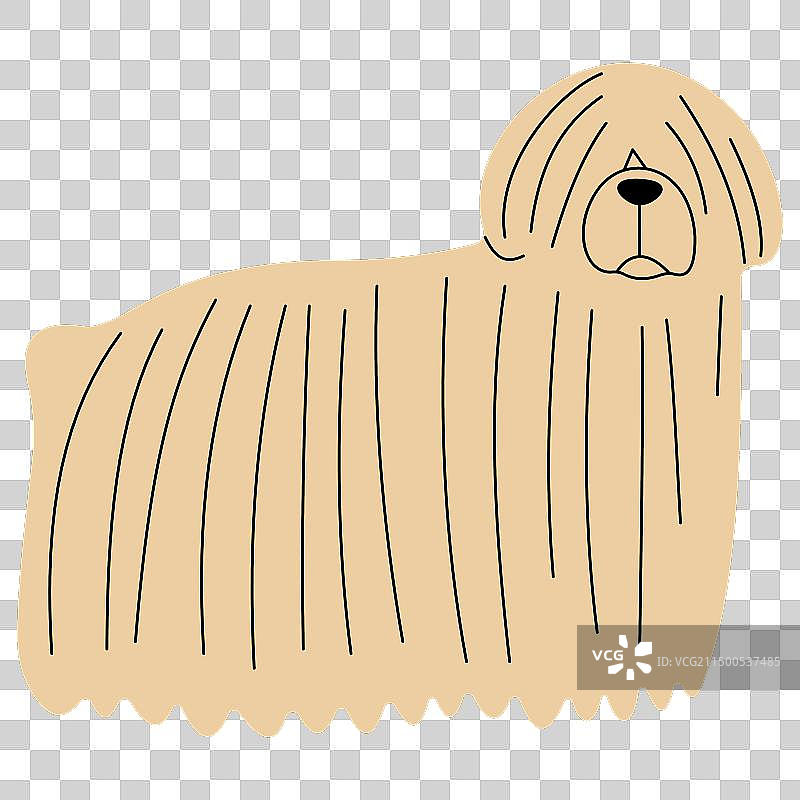 波利犬图片素材