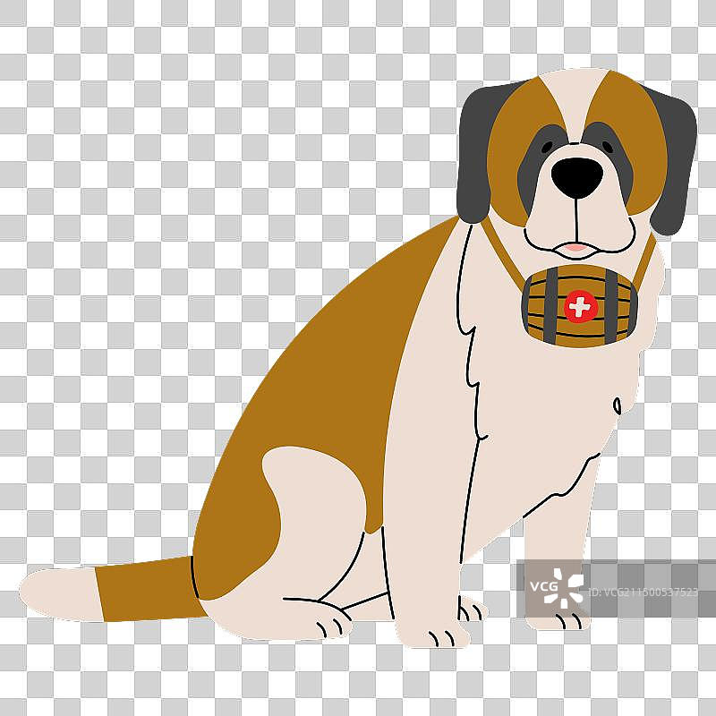 圣伯纳犬图片素材