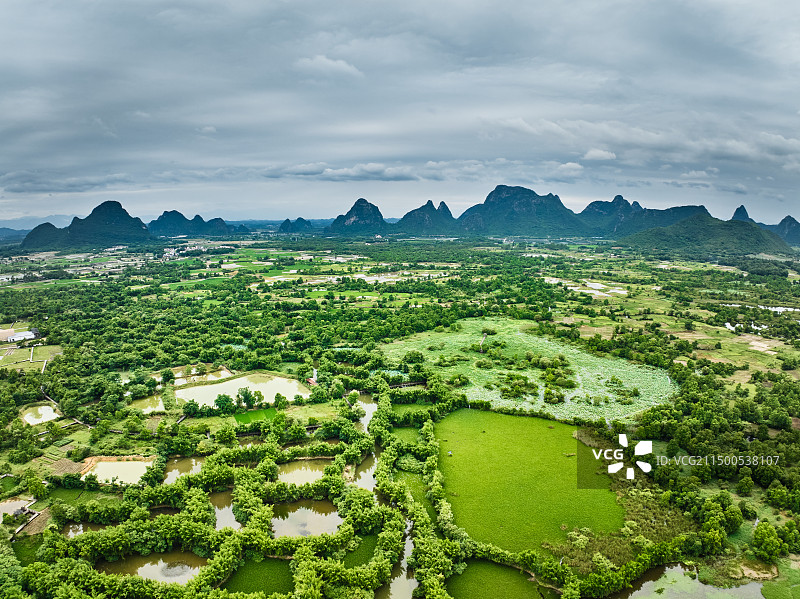 桂林会仙湿地图片素材