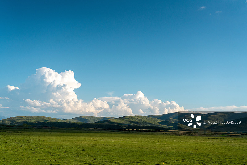 四川阿坝红原高山草原夏日美景图片素材