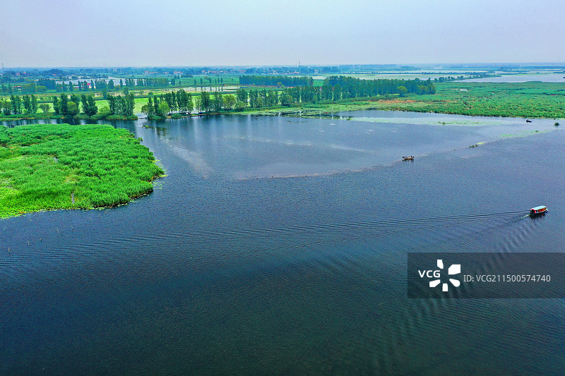 蓝天碧水凉。芙蓉娇艳芦苇荡。蛙唱鸟鸣鸭戏水。心爽。美景如画廊。游船如梭气笛响。华北明珠邵庄子图片素材