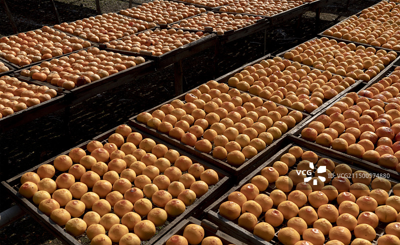 建始县石牌湖柿饼加工图片素材