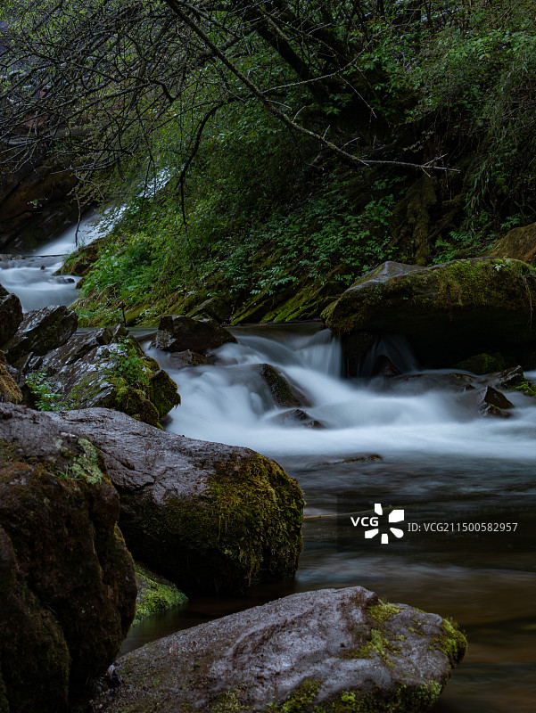 林间溪流穿石景观图片素材