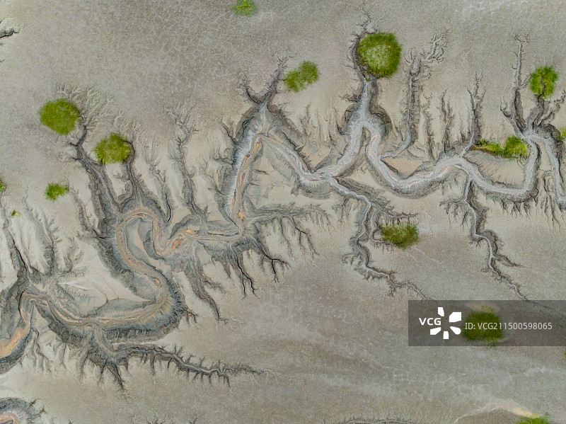 航拍下的钱塘江龙形潮汐树图片素材