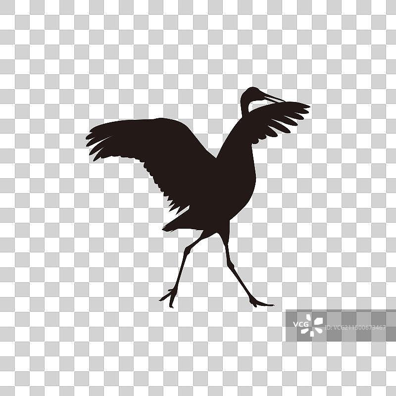沙丘鹤剪影图片素材