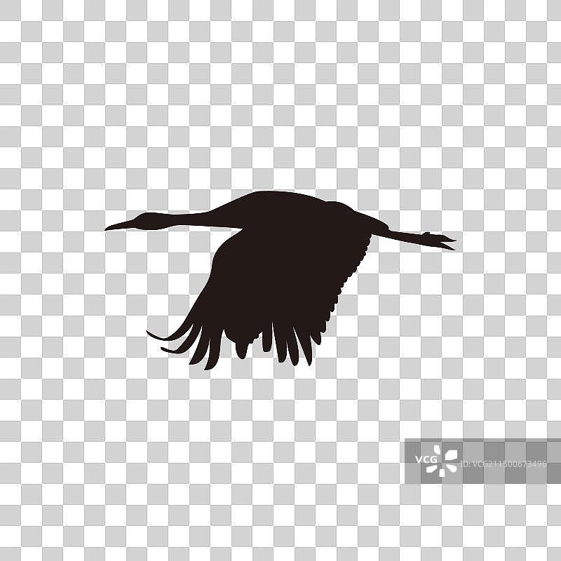沙丘鹤剪影图片素材