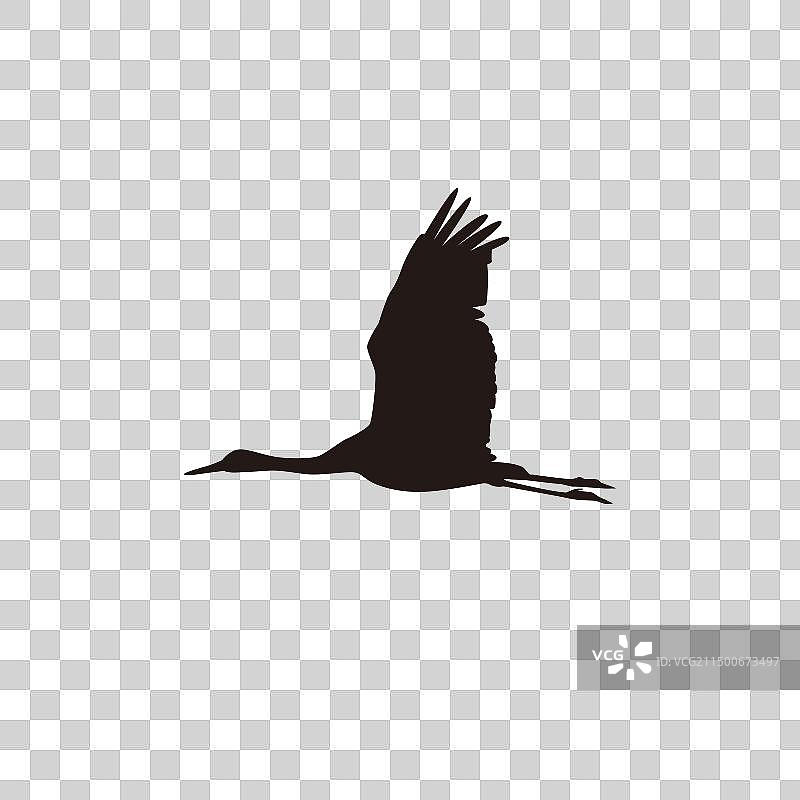 沙丘鹤剪影图片素材
