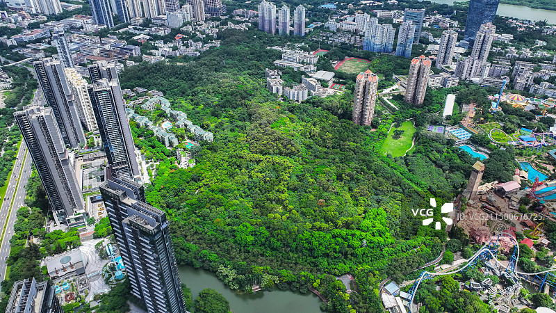 深圳燕晗山郊野公园图片素材