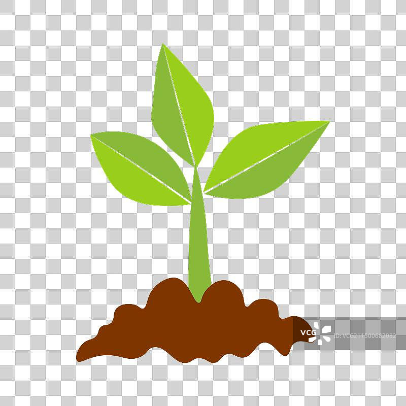 生长中的绿色叶子植物图片素材