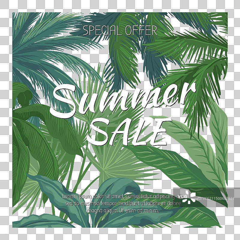 夏季促销特别优惠社交媒体帖子图片素材