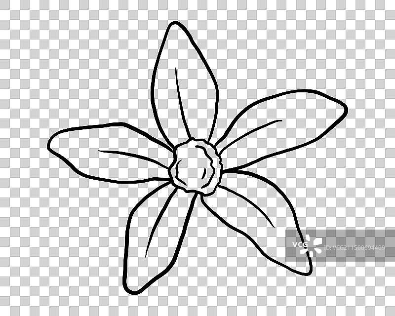 香草花手绘线条草图图片素材