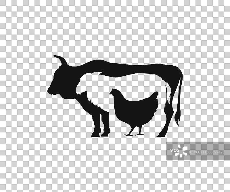 牛、羊和鸡叠罗汉图片素材