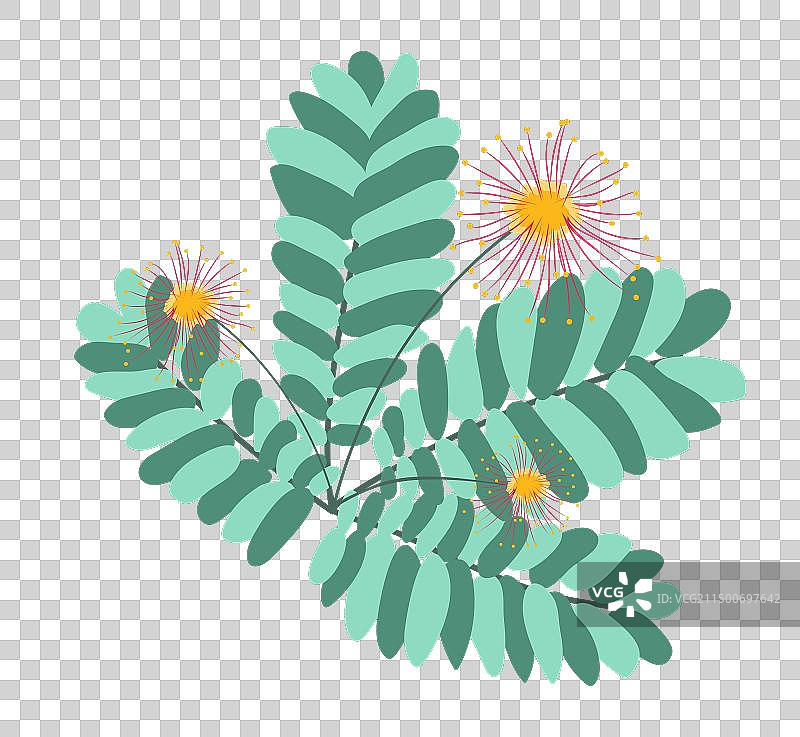 带叶子的抽象含羞草扁平设计图片素材