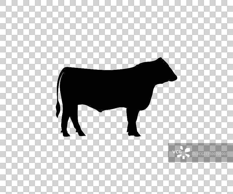安格斯母牛和公牛轮廓图标图片素材