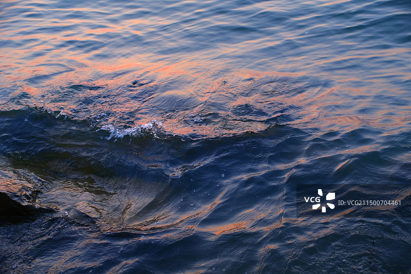 合肥植物园的日落图片素材