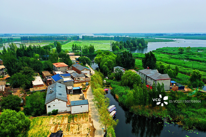 霞光万道美彩云，虫蛙鸟鸣小岛村香烟缭绕雄鸡唱，碧水莲花淀乡魂船万艘  人群群华北明珠邵庄子图片素材