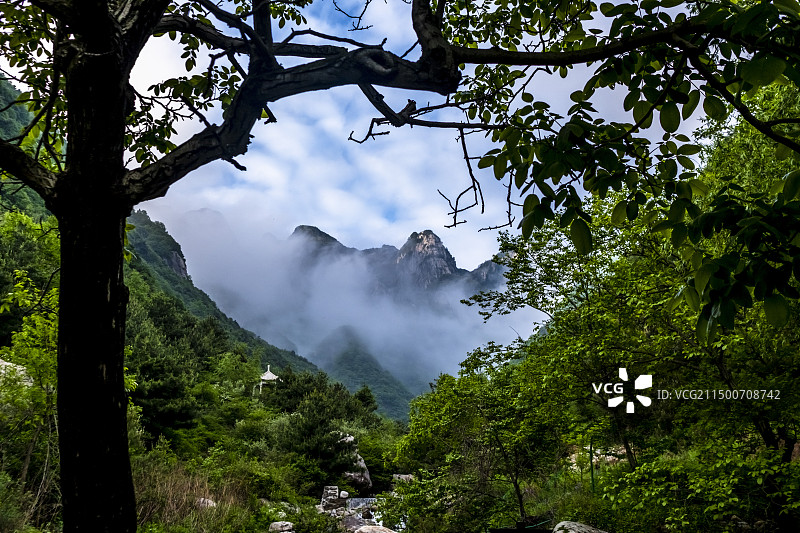 西安王顺山国家森林公园图片素材