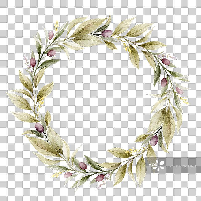 橄榄枝水彩边框图片素材