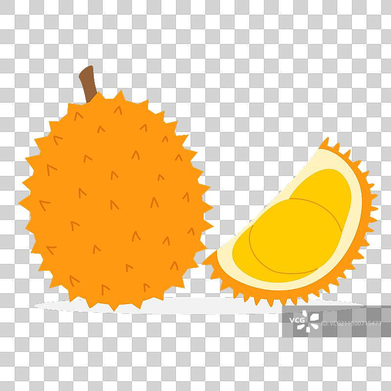 榴莲：整颗与四分之一块的臭水果图片素材