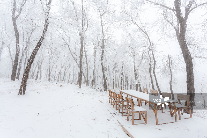 雪地上的一排桌椅图片素材