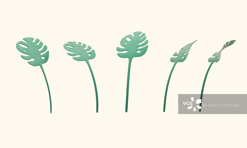 龟背竹植物3D插画叶子绿叶图片素材