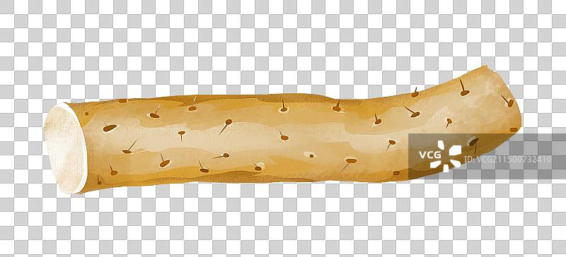 淮山 插画元素图片素材