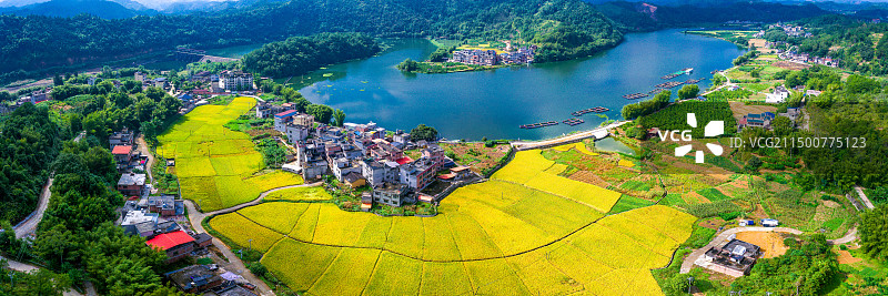 航拍新农村秋天水稻田园风光美如画图片素材