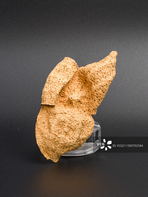 黑色背景上的陈皮特写镜头图片素材