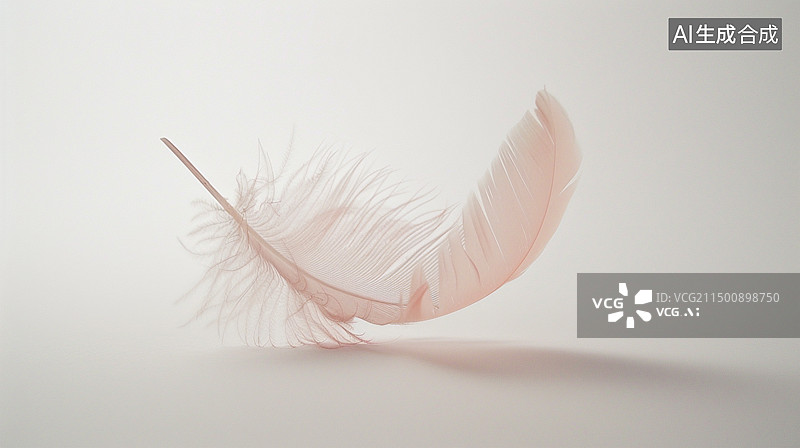【AI数字艺术】白色背景桃色羽毛图片素材