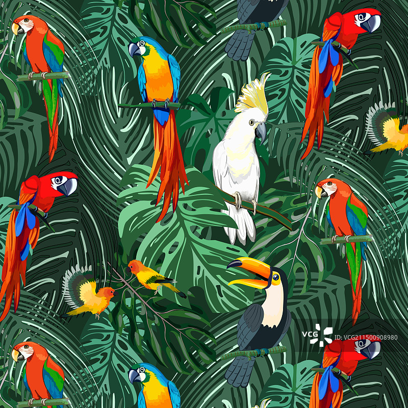 棕榈叶上的彩色鹦鹉图片素材