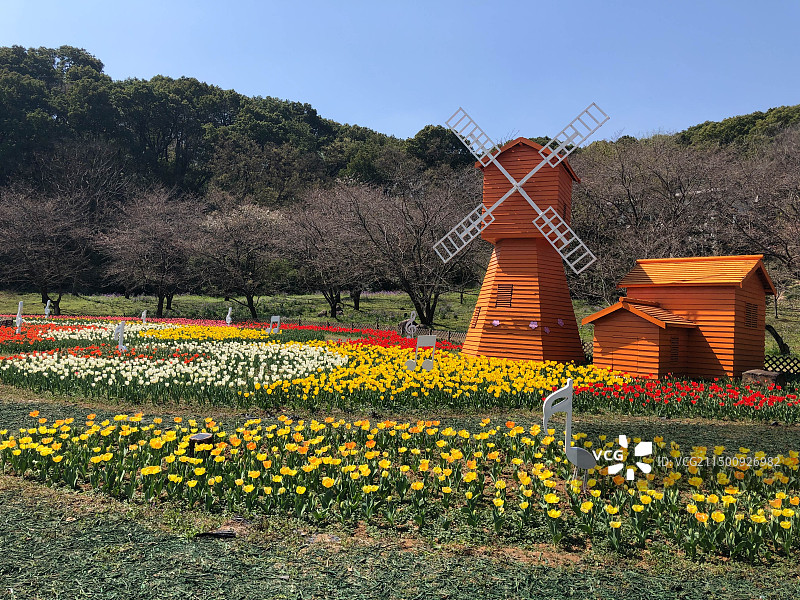 苏州市上方山国家森林公园图片素材